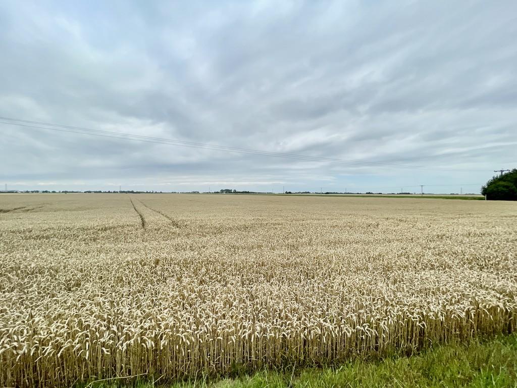 Img e1571