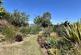 Additional image 10 of Sharlands, Barrington, Nr Ilminster, Somerset TA19