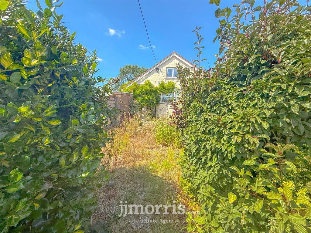 417 D85 A9-B45 D-413 B-A655-65440 BC432 FD.jpeg