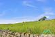 Additional image 30 of Bishop Auckland DL13