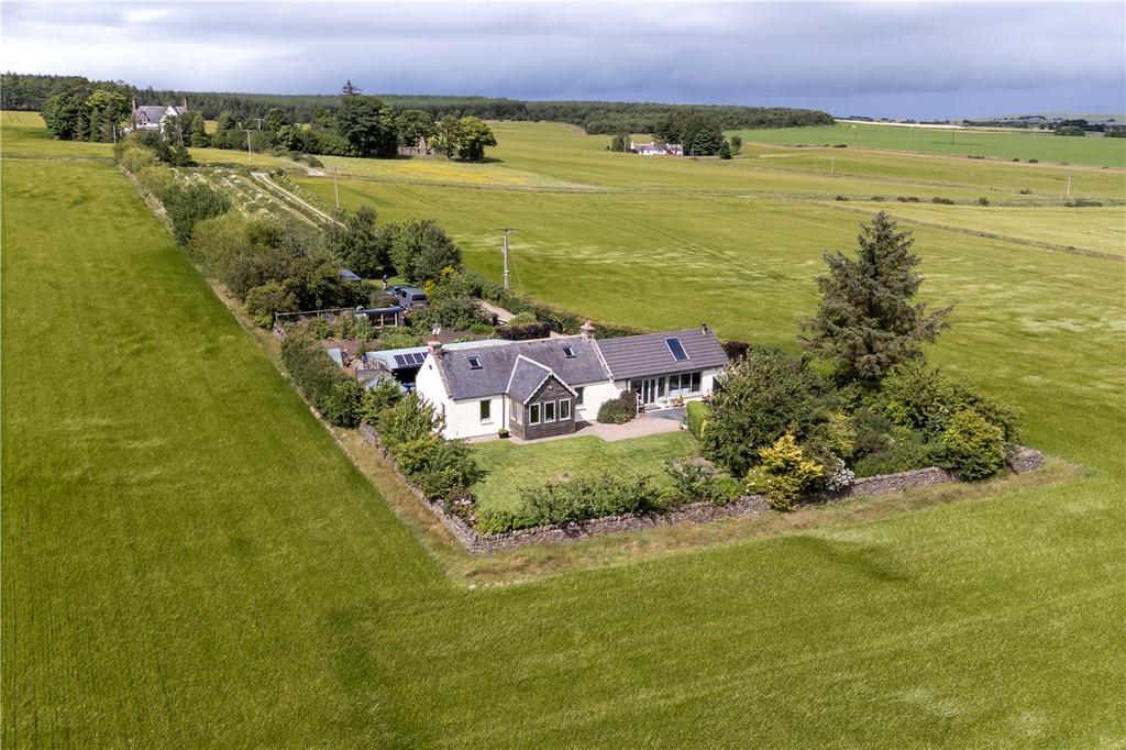 Aerial Image