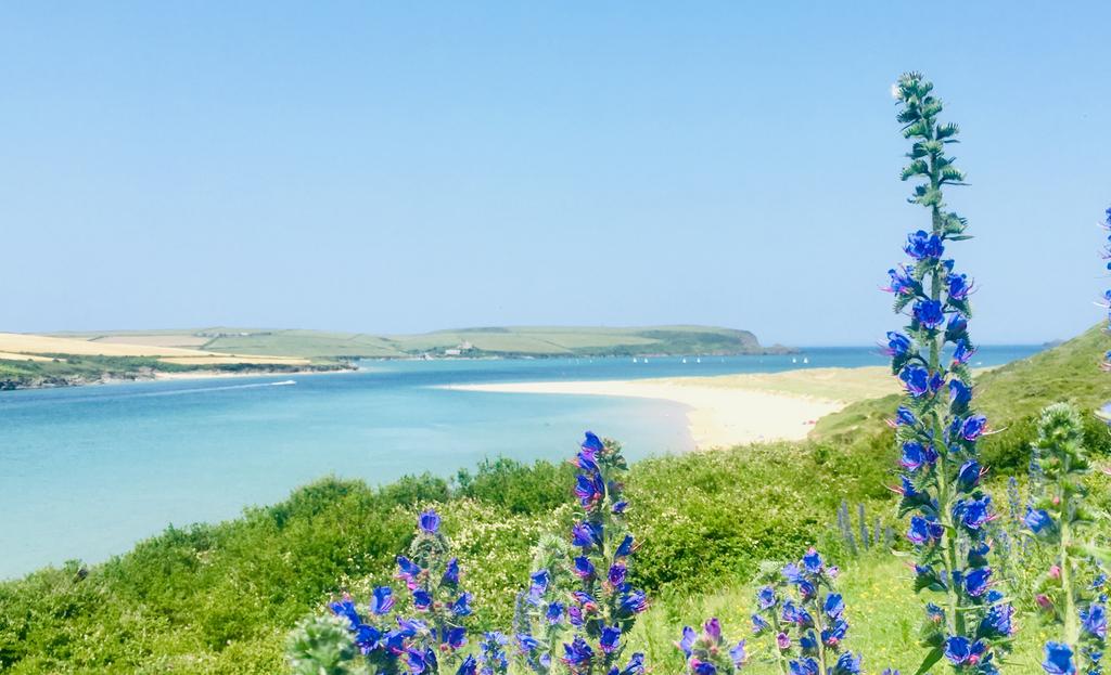 682365f75e88c Beautiful Camel Estuary towards Ste