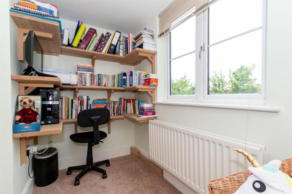 Study Area