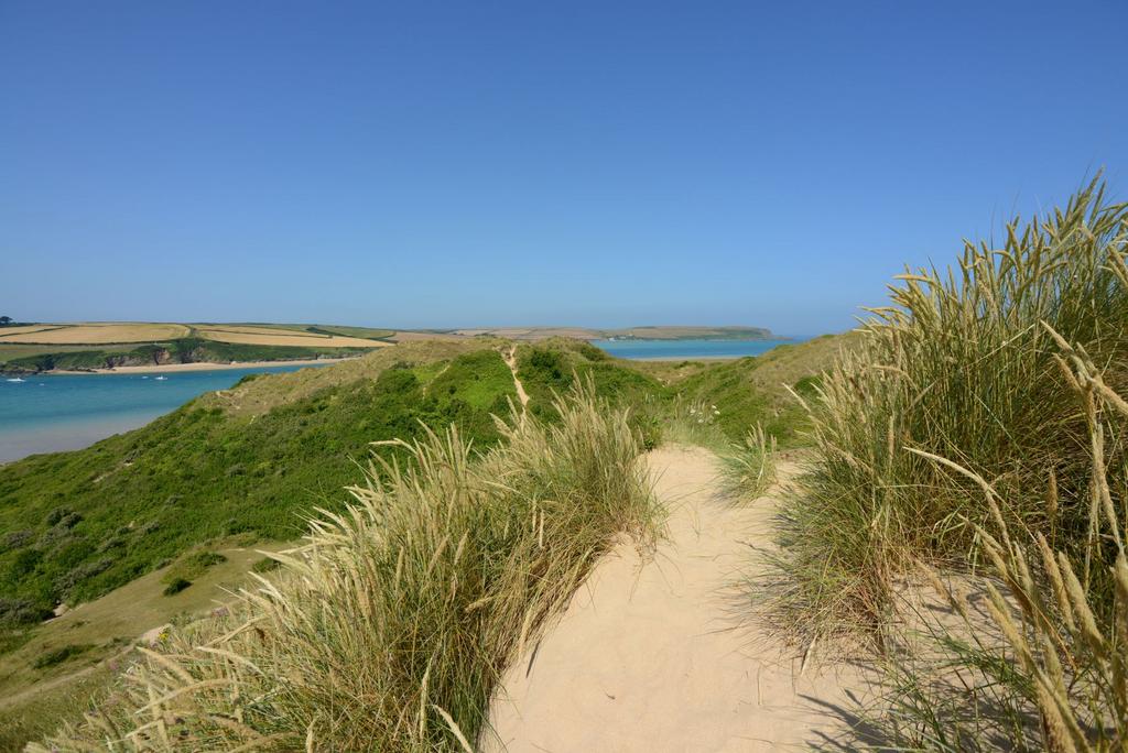 67e6ada487aa9 Rock 0298-resized