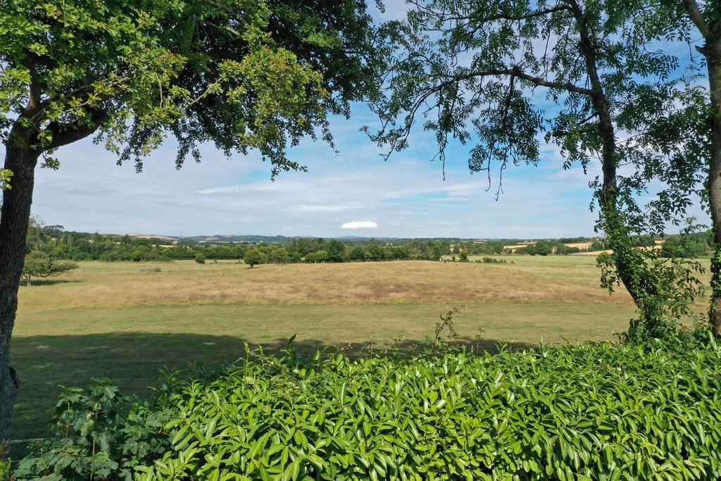 62d01dd2edbf2 TM-Garden-walk-DJI 0947