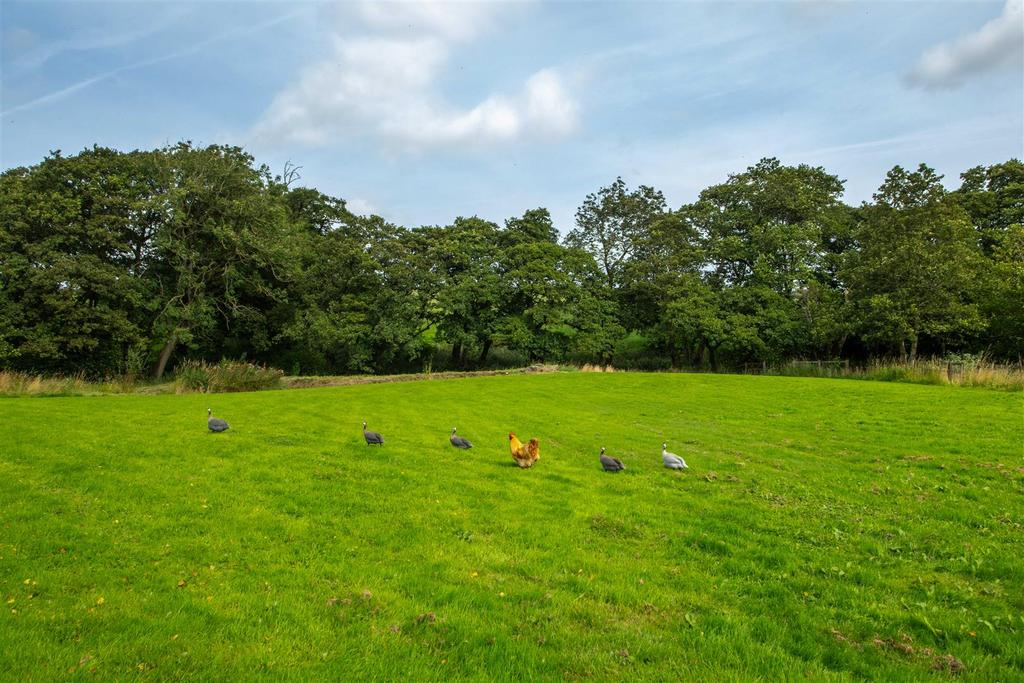 027 Green Barn Low Res.jpg