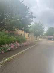 IMG 5429.jpg