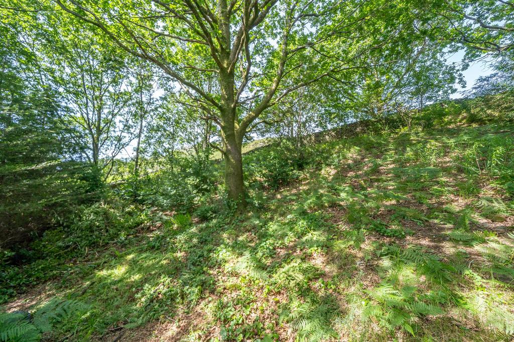 Coppice