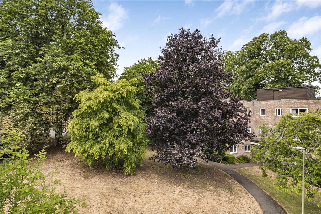 Picture 20