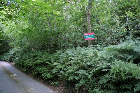 Woodland for sale, Hangman's Hill, Tiverton EX16