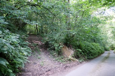 Woodland for sale, Hangman's Hill, Tiverton EX16