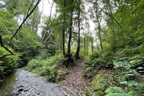 Woodland for sale, Aberhosan, Machynlleth SY20