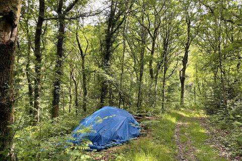 Woodland for sale, Aberhosan, Machynlleth SY20