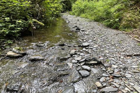 Woodland for sale, Aberhosan, Machynlleth SY20