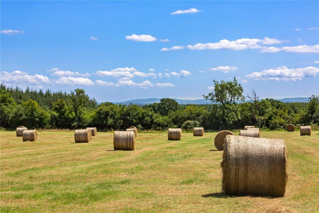 Farm At Newtown