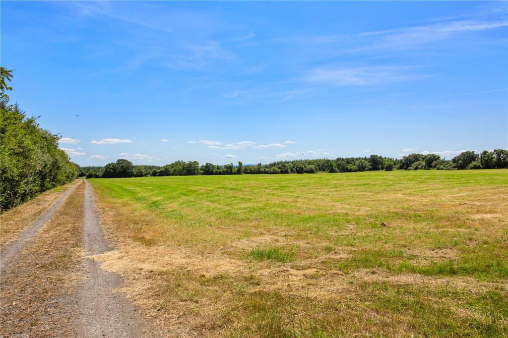 Farm At Newtown