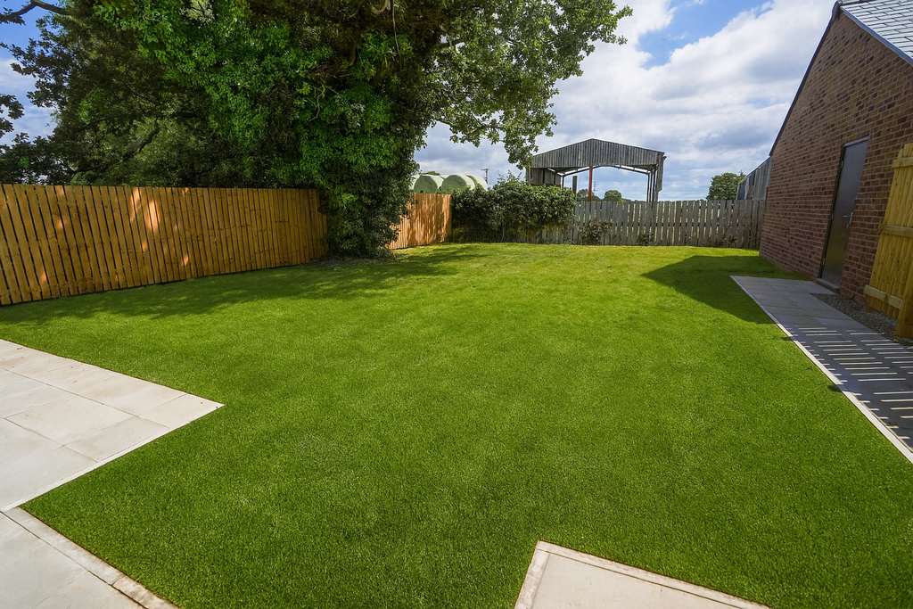 Plot6backgarden