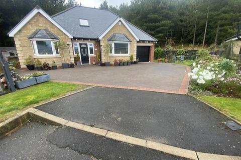 undefined, Olive Grove, Seghill, Cramlington