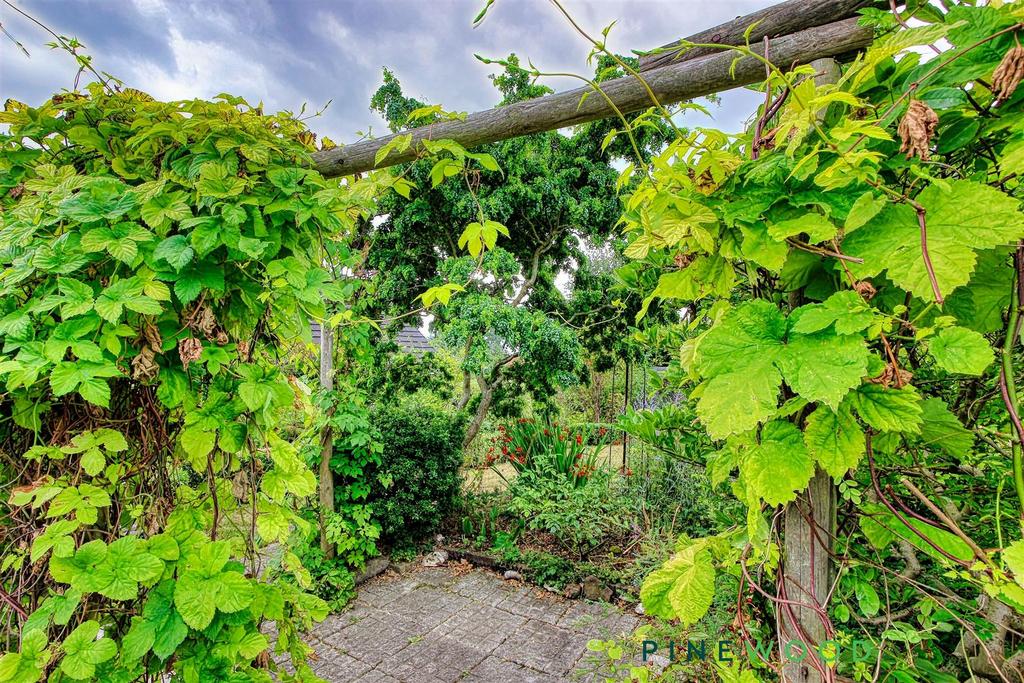 Rear garden