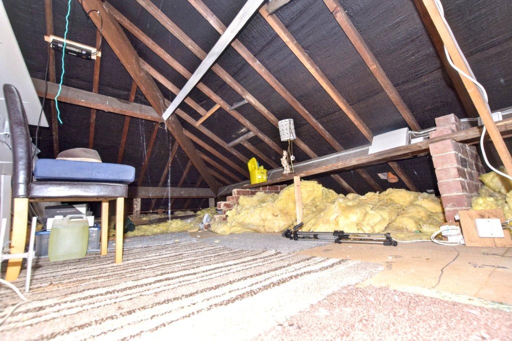 Picture 11