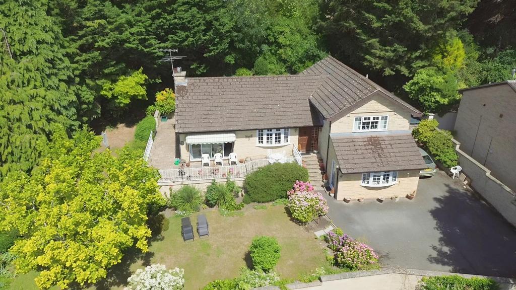 B38faa30-DJI 0050-4.jpg