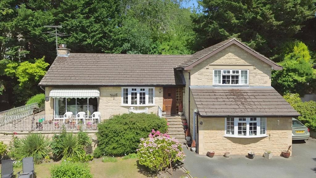 7450ca9b-DJI 0050-1.jpg