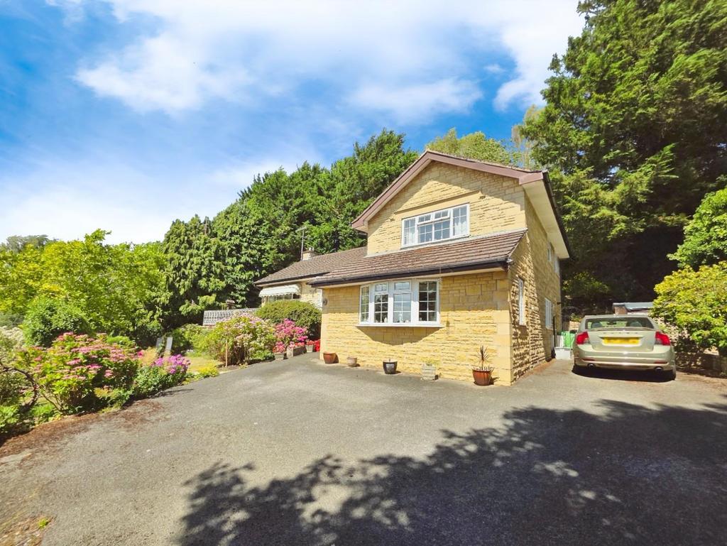 F0f2dc5d-20250704 145756.jpg