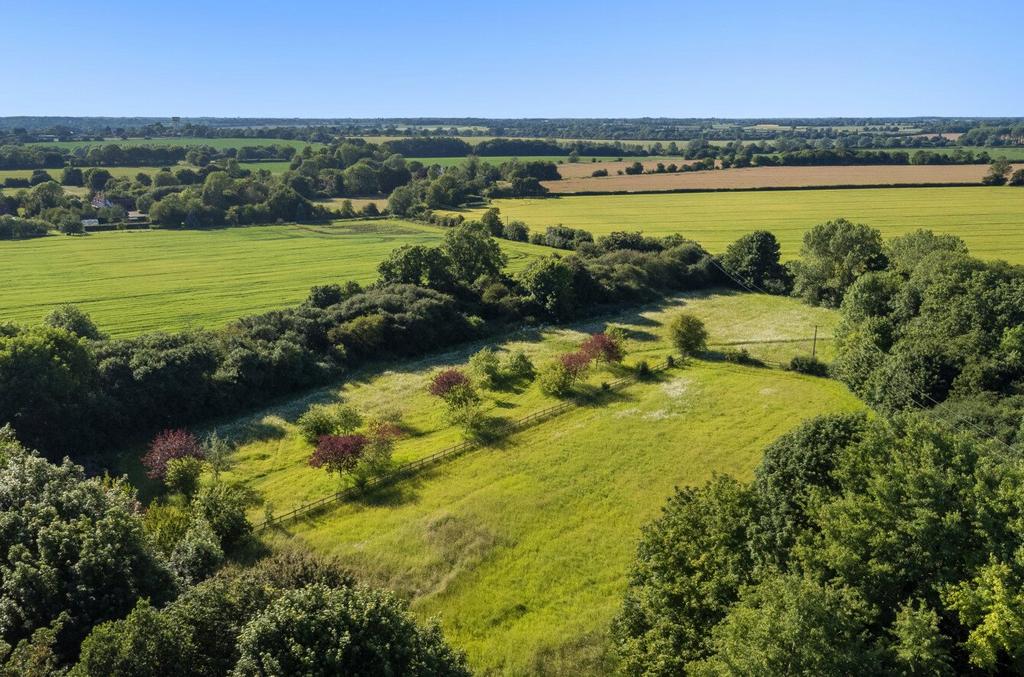 Meadow &amp; Paddock