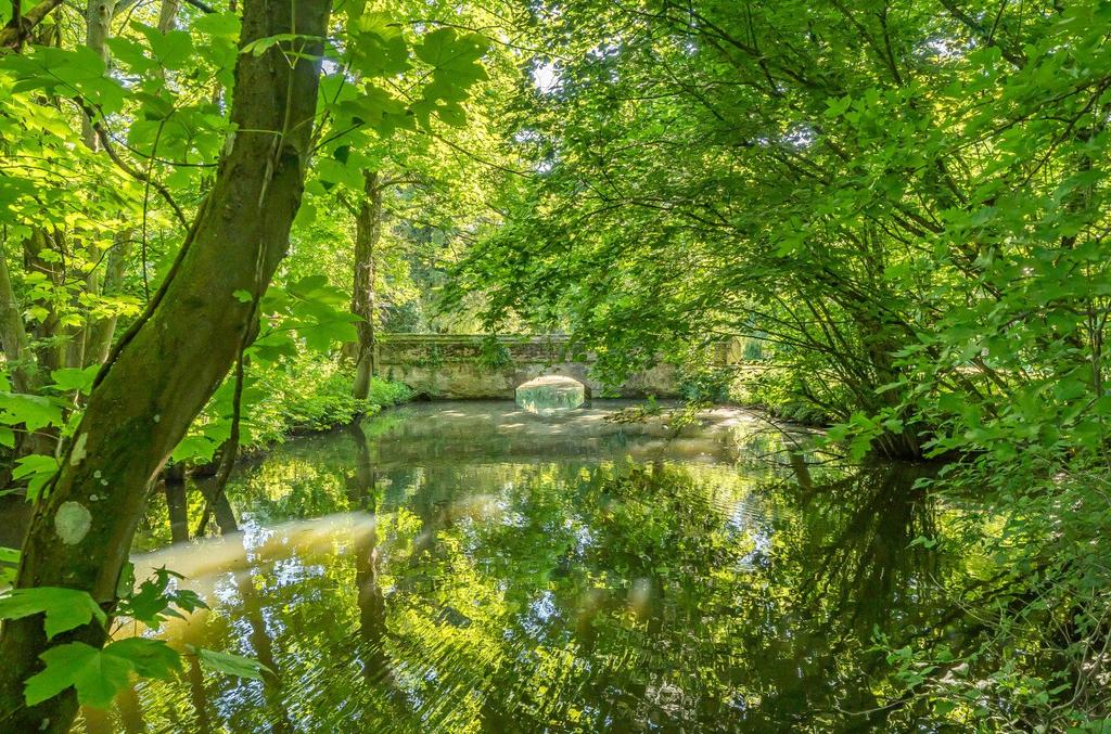 Moat