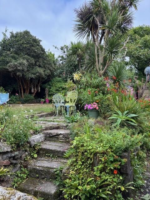 New garden photo.jpg