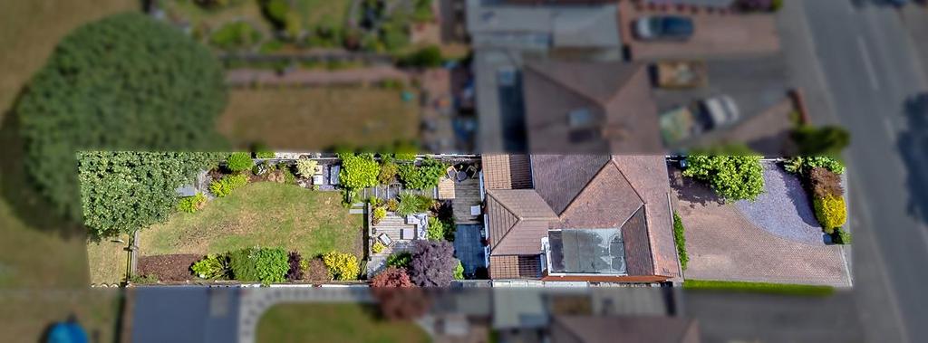 DJI 0198 copy.jpg