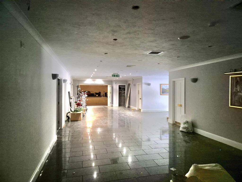 20250714 113036 resized.jpg