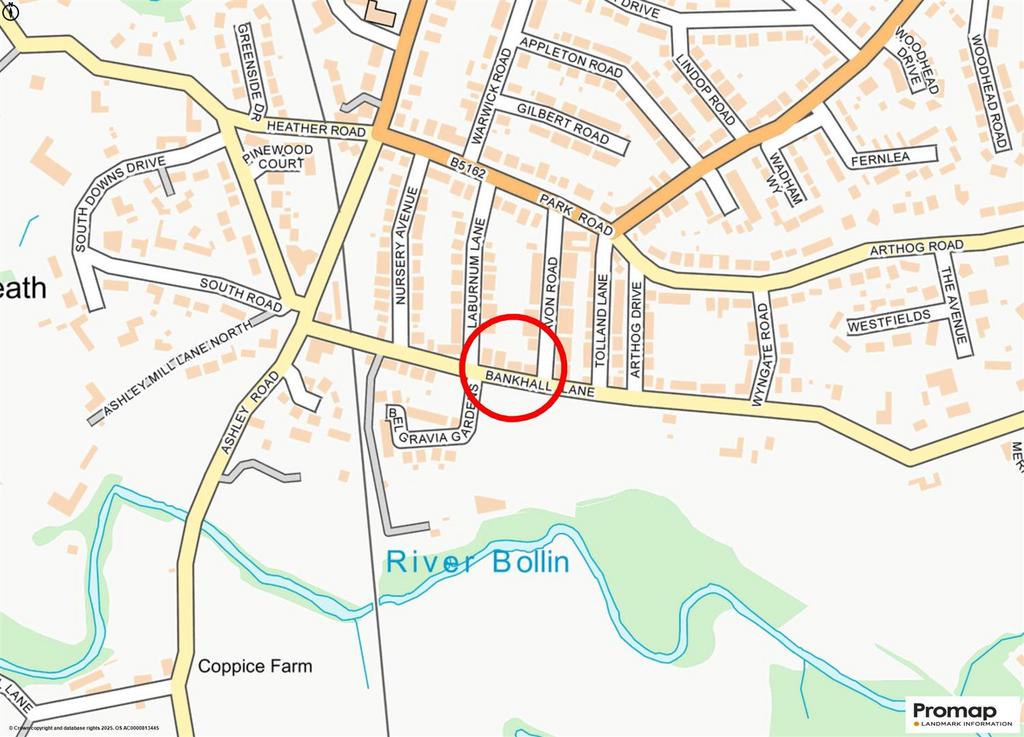 Street Plan