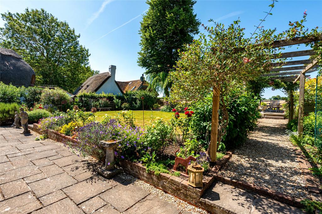 Garden / Patio