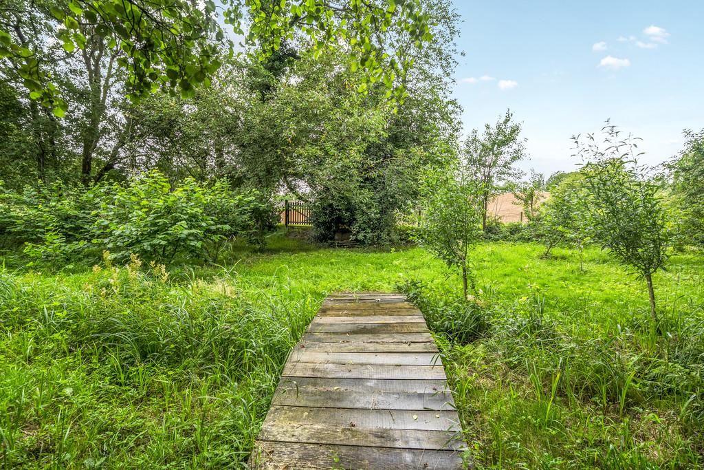 Woodland