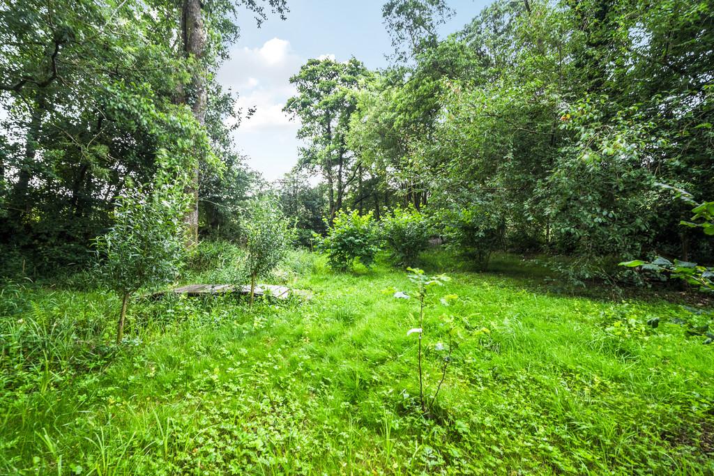 Woodland