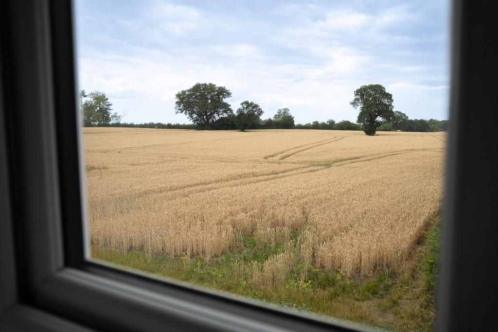 View From Master Bedroom