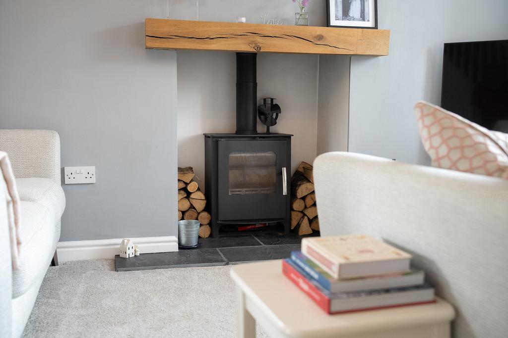 Multi Fuel Burning Stove
