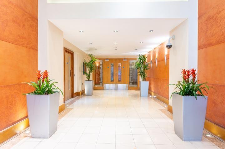 Chpk0218747 large-12-15 jpg