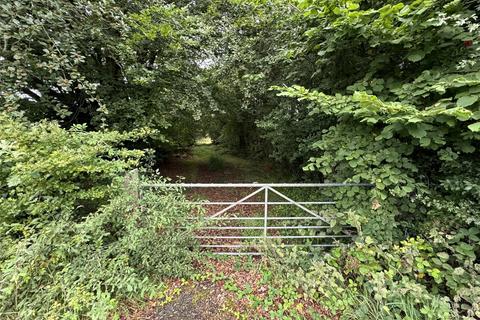 undefined, Brandis Corner, Holsworthy