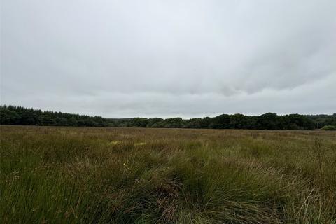 undefined, Brandis Corner, Holsworthy