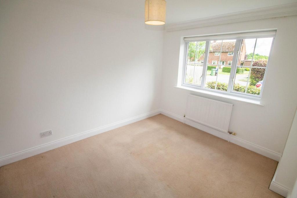 IMG 4783.jpg