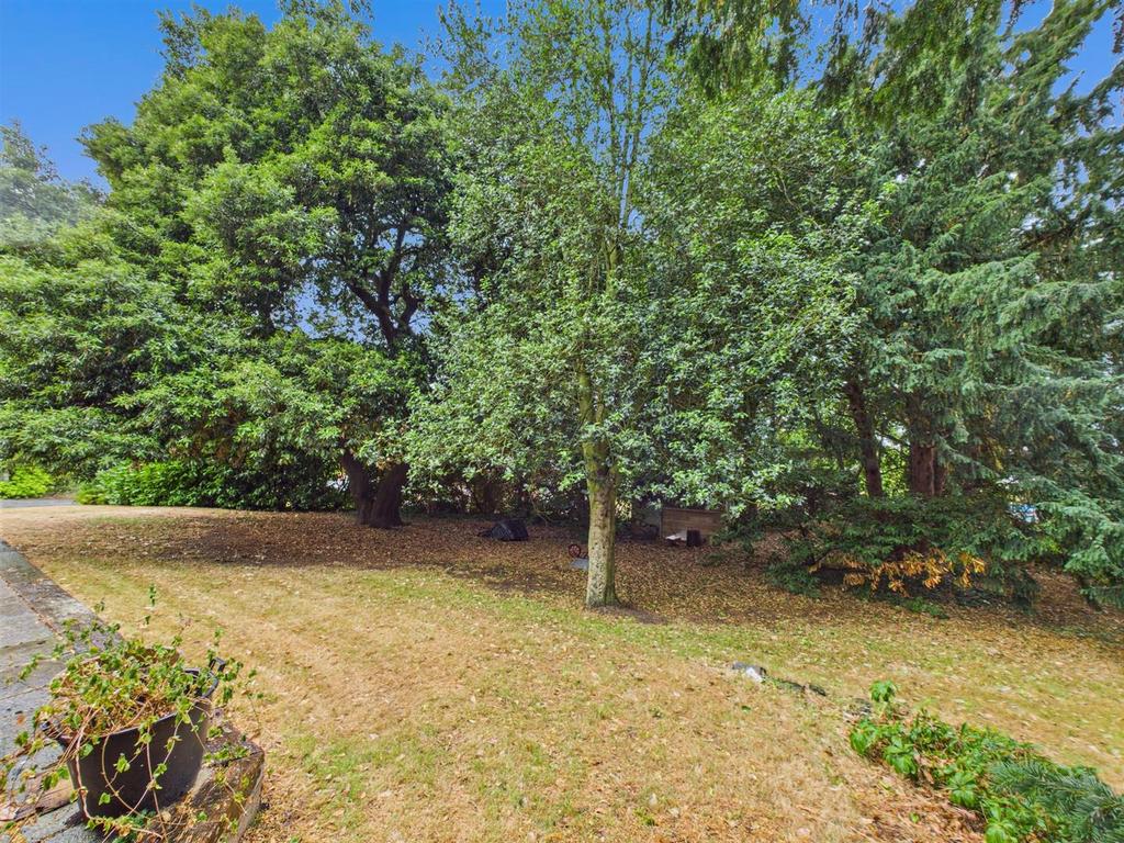 CAM01555 G0-PR0219-STILL016.jpg