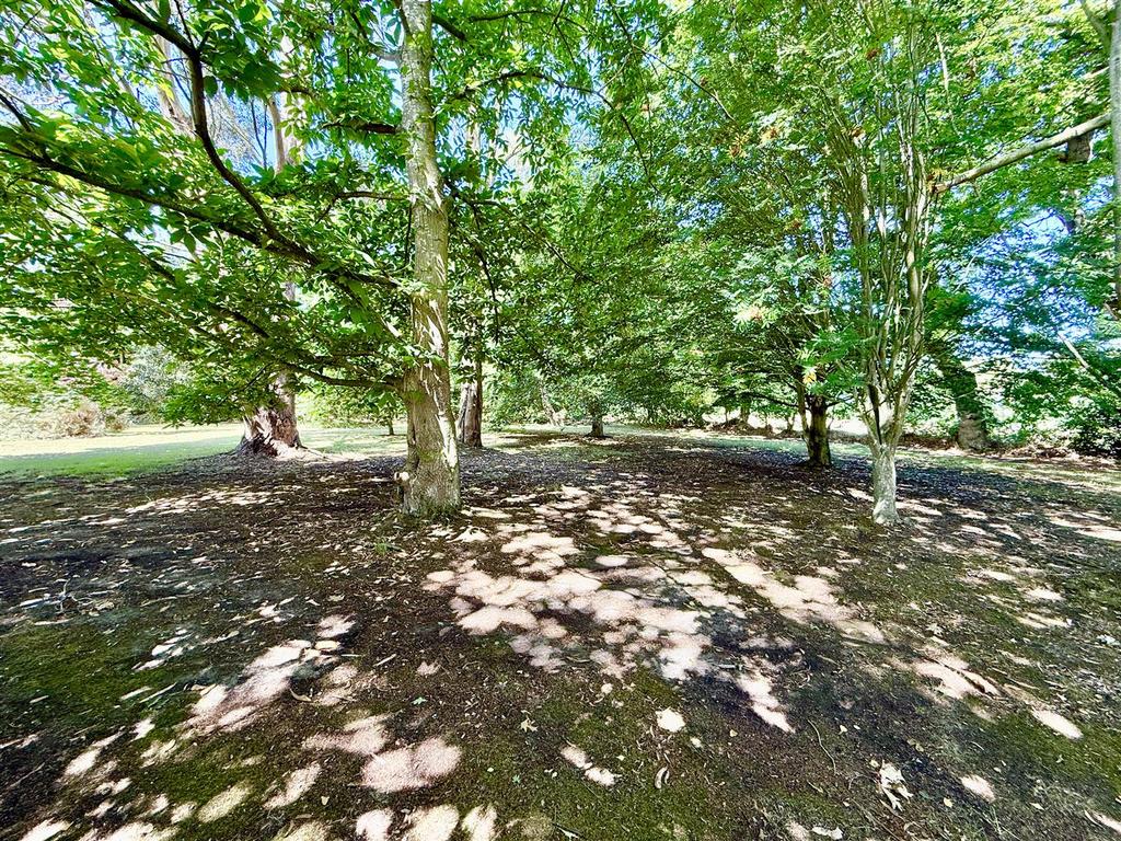 Wooden garden
