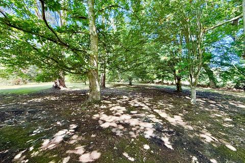 3 bedroom detached house for sale, The Loke, Witton, NR28