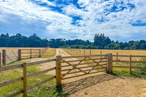 undefined, Bransgore, Christchurch, Dorset, BH23