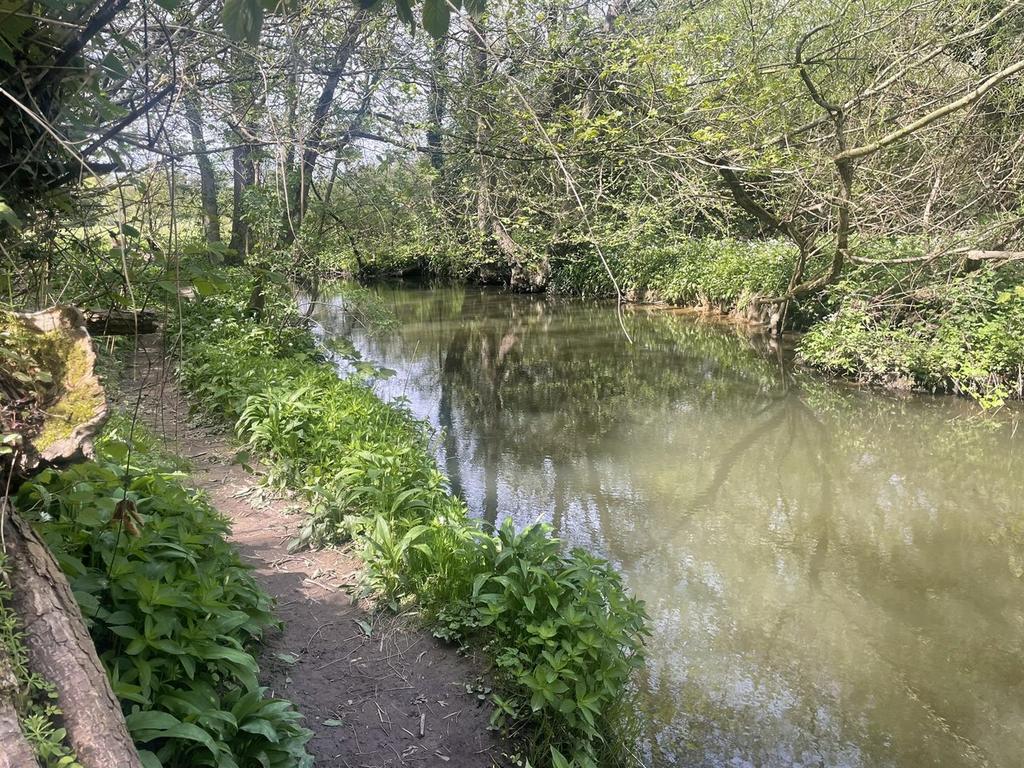Img 7580.jpeg