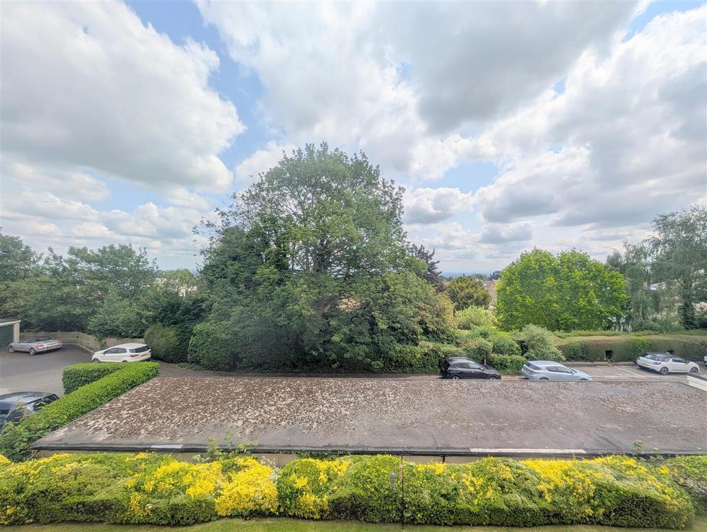 PXL 20250611 113146058.jpg