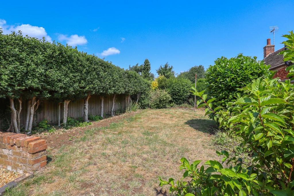 Garden (2).jpg