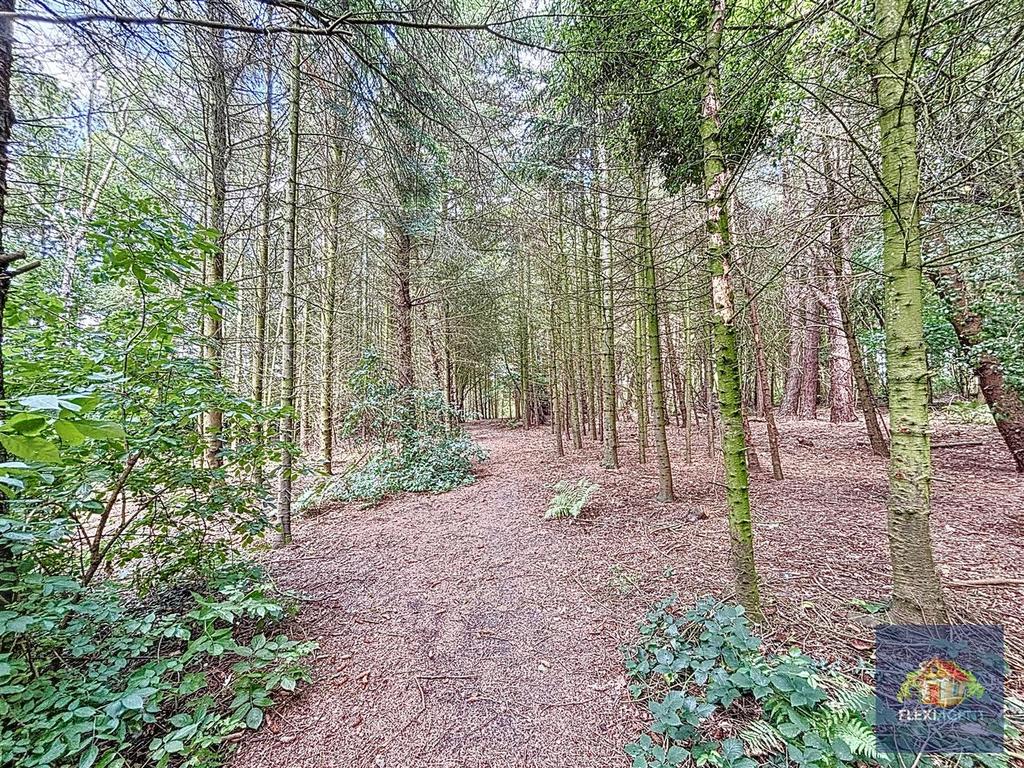Woodland